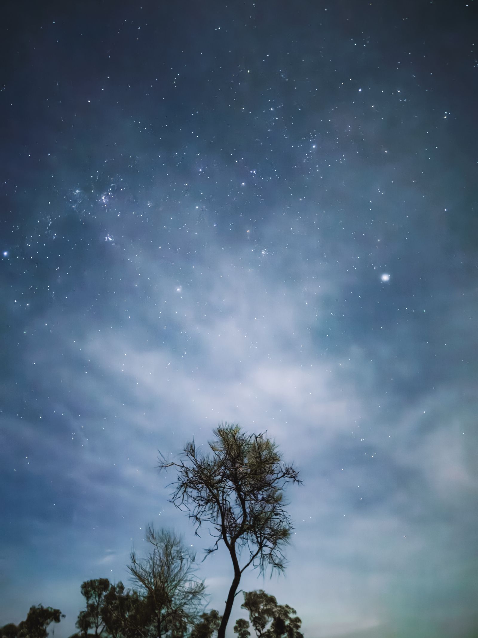 Stars in the night sky over the tablelands.
