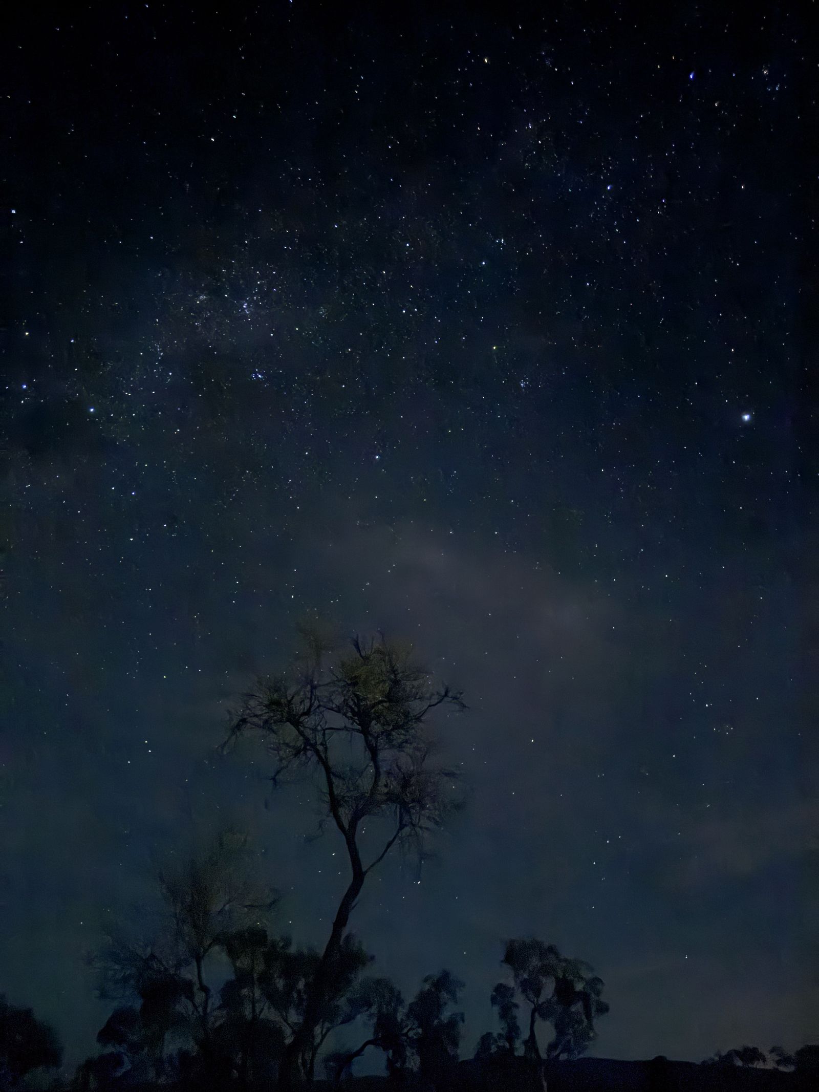 Stars in the night sky.
